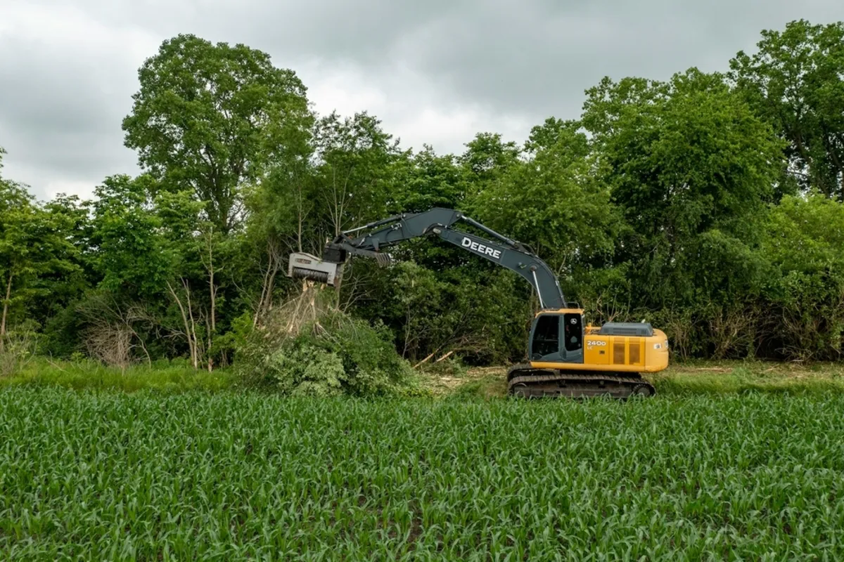 Tree Trimming Service in Lafayette
