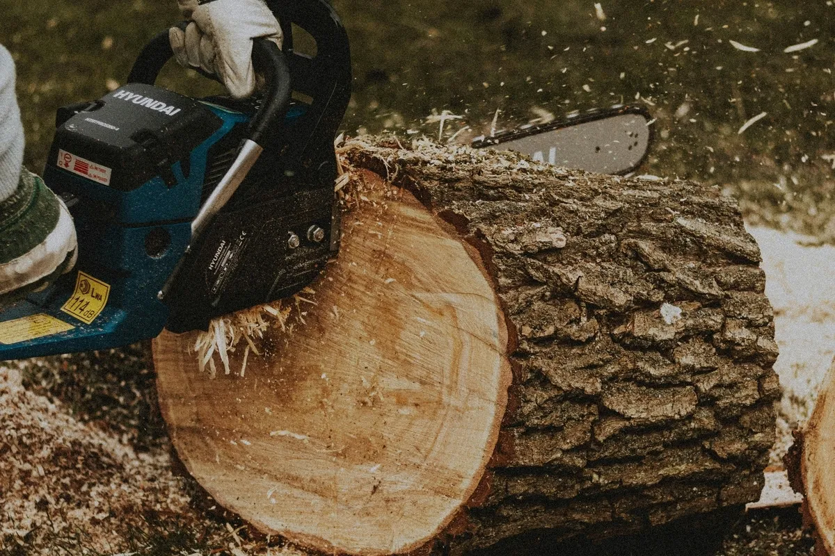 Stump Grinding Specialists